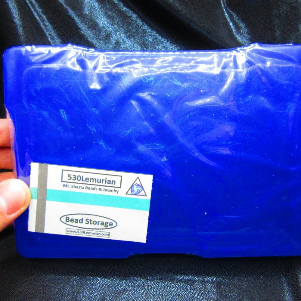 Blue Plastic Storage Case